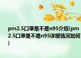pm2.5口罩是不是n95介绍(pm2.5口罩是不是n95详细情况如何)