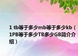 1 tb等于多少mb等于多少kb（1PB等于多少TB多少GB简介介绍）