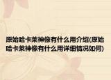 原始哈卡莱神像有什么用介绍(原始哈卡莱神像有什么用详细情况如何)