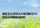 指环王OL好玩么介绍(指环王OL好玩么详细情况如何)