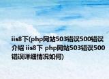 iis8下(php网站503错误500错误介绍 iis8下 php网站503错误500错误详细情况如何)