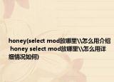 honey(select mod放哪里\怎么用介绍 honey select mod放哪里\怎么用详细情况如何)