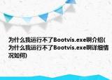 为什么我运行不了Bootvis.exe啊介绍(为什么我运行不了Bootvis.exe啊详细情况如何)