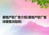 房地产软广告介绍(房地产软广告详细情况如何)