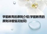 学前教育的原则介绍(学前教育的原则详细情况如何)