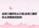 名将三国好玩么介绍(名将三国好玩么详细情况如何)