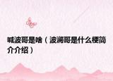 喊波哥是啥（波澜哥是什么梗简介介绍）