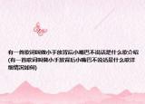 有一首歌词叫做小手放背后小嘴巴不说话是什么歌介绍(有一首歌词叫做小手放背后小嘴巴不说话是什么歌详细情况如何)
