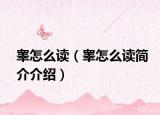 睾怎么读（睾怎么读简介介绍）