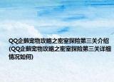 QQ企鹅宠物攻略之密室探险第三关介绍(QQ企鹅宠物攻略之密室探险第三关详细情况如何)