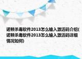 诺顿杀毒软件2013怎么输入激活码介绍(诺顿杀毒软件2013怎么输入激活码详细情况如何)