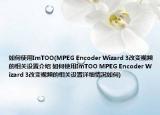 如何使用ImTOO(MPEG Encoder Wizard 3改变视频的相关设置介绍 如何使用ImTOO MPEG Encoder Wizard 3改变视频的相关设置详细情况如何)