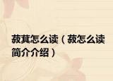 菽萁怎么读（菽怎么读简介介绍）