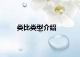 类比类型介绍