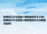 转身你已不见而我只想轻抱你作文介绍(转身你已不见而我只想轻抱你作文详细情况如何)
