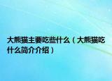 大熊猫主要吃些什么（大熊猫吃什么简介介绍）