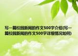 写一篇校园新闻的作文500字介绍(写一篇校园新闻的作文500字详细情况如何)