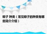 粽子 种类（常见粽子的种类有哪些简介介绍）