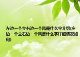 左边一个立右边一个风是什么字介绍(左边一个立右边一个风是什么字详细情况如何)