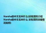 Narsha的中文名叫什么(还有资料介绍 Narsha的中文名叫什么 还有资料详细情况如何)