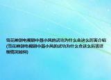 雪花神剑电视剧中聂小凤的武功为什么会这么厉害介绍(雪花神剑电视剧中聂小凤的武功为什么会这么厉害详细情况如何)