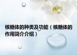 核糖体的种类及功能（核糖体的作用简介介绍）