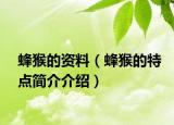 蜂猴的资料（蜂猴的特点简介介绍）