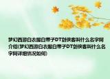 梦幻西游白衣服白带子DT剑侠客叫什么名字阿介绍(梦幻西游白衣服白带子DT剑侠客叫什么名字阿详细情况如何)