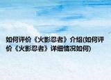 如何评价《火影忍者》介绍(如何评价《火影忍者》详细情况如何)