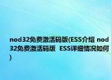 nod32免费激活码版(ESS介绍 nod32免费激活码版  ESS详细情况如何)