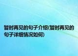 暂时再见的句子介绍(暂时再见的句子详细情况如何)