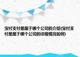 宝付支付是属于哪个公司的介绍(宝付支付是属于哪个公司的详细情况如何)