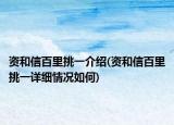 资和信百里挑一介绍(资和信百里挑一详细情况如何)