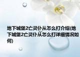 地下城堡2亡灵仆从怎么打介绍(地下城堡2亡灵仆从怎么打详细情况如何)