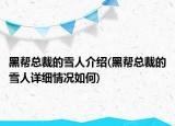 黑帮总裁的雪人介绍(黑帮总裁的雪人详细情况如何)