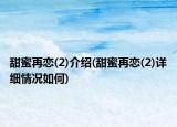甜蜜再恋(2)介绍(甜蜜再恋(2)详细情况如何)