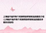 上海是不是真有个高架桥的桥墩刻龙的图案介绍(上海是不是真有个高架桥的桥墩刻龙的图案详细情况如何)