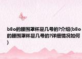 b8o的腰围罩杯是几号的?介绍(b8o的腰围罩杯是几号的?详细情况如何)