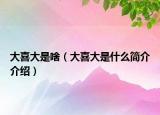 大喜大是啥（大喜大是什么简介介绍）