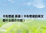 卡布奇诺 英语（卡布奇诺的英文是什么简介介绍）
