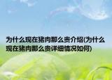 为什么现在猪肉那么贵介绍(为什么现在猪肉那么贵详细情况如何)