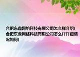合肥东鼎网络科技有限公司怎么样介绍(合肥东鼎网络科技有限公司怎么样详细情况如何)