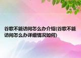 谷歌不能访问怎么办介绍(谷歌不能访问怎么办详细情况如何)