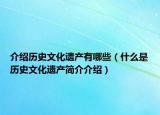 介绍历史文化遗产有哪些（什么是历史文化遗产简介介绍）