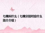 七魄叫什么（七魄分别对应什么简介介绍）