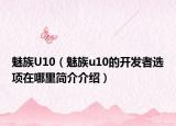 魅族U10（魅族u10的开发者选项在哪里简介介绍）