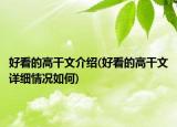 好看的高干文介绍(好看的高干文详细情况如何)