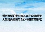 看到大型蛇类应该怎么办介绍(看到大型蛇类应该怎么办详细情况如何)