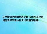 走马歌词的意思想表达什么介绍(走马歌词的意思想表达什么详细情况如何)