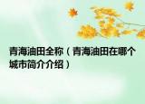 青海油田全称（青海油田在哪个城市简介介绍）